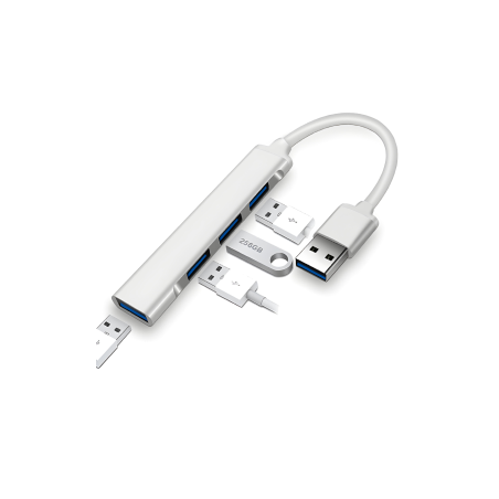 HUB Type-C 4 en 1 pour Ordinateur Portable 1 Port USB 3.0 + 3 Ports USB 2.0 - Argenté — ECO · Smarty Paris 18e